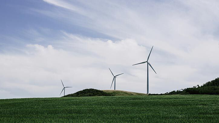 Reimagining Sustainability and Transforming Businesses