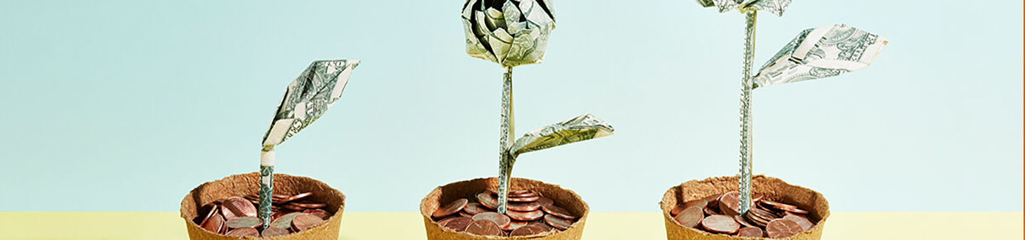 plants with money