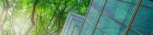 Discover a Smarter Approach to Sustainability with MIT's Jason Jay