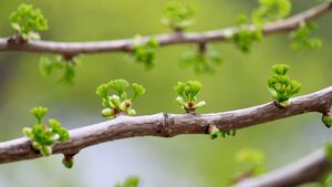 Shaping the Future of Insurance Leadership: MIT Sloan’s Decade of Impact