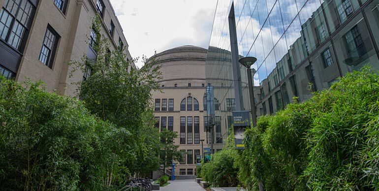 Pathway between MIT buildings with greenery and a view of the iconic dome under a cloudy sky