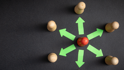 wood pegs and arrows 