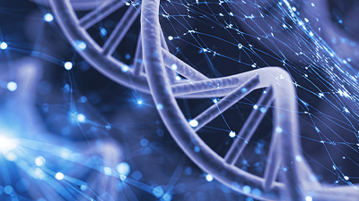 digital double helix
