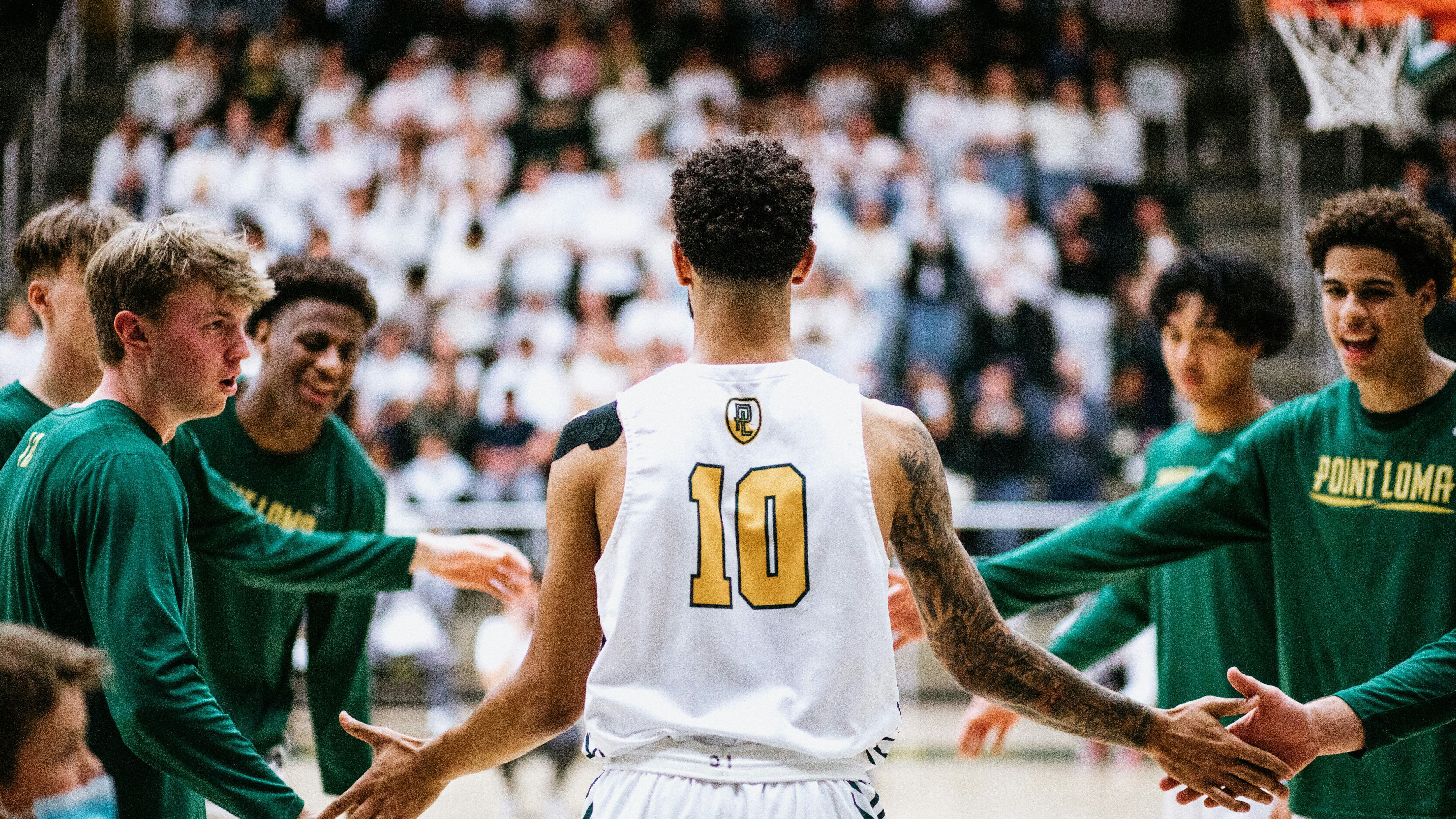 sports team shaking hands at a game