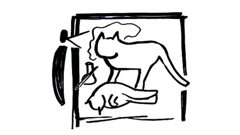 enlarged portion of Schr&ouml;dinger's Cat