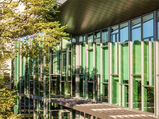 Exterior of an MIT Sloan building with tall glass windows and green panels surrounded by trees.