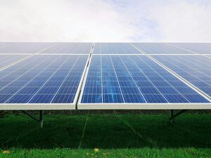 The MIT Bain Sustainability in Action Program