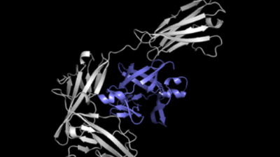 illustration of colorful ribbons