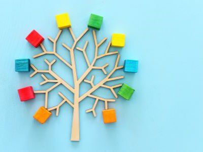 family tree