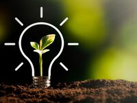 Business Sustainability Strategy