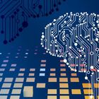 Leading the AI-Driven Organization
