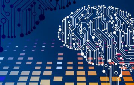 Leading the AI-Driven Organization