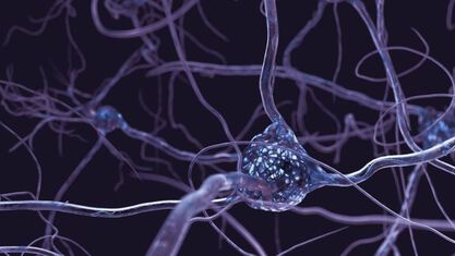 neurons image number null