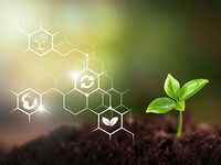 Strategies for Sustainable Business