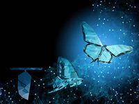 Leading Successful Transitions in a Digitally Driven World