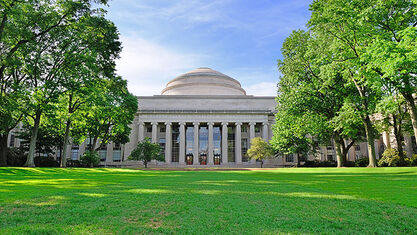 AMP Reunion image number null