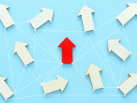 Navigating Transitions During AI-Driven Change
