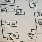Diagram of people in organization.