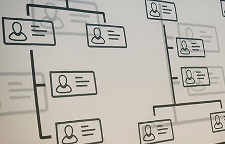 Diagram of people in organization.