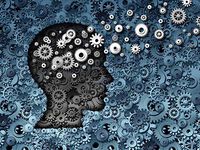 Neuroscience for Leadership