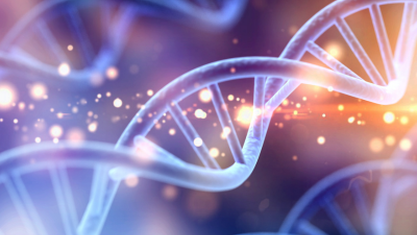 Transforming Healthcare with AI image number null