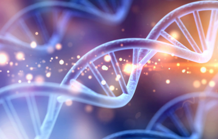 Transforming Healthcare with AI