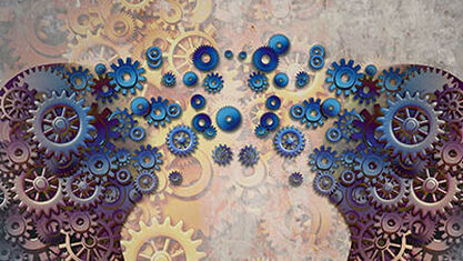 Applied Neuroscience: Unleashing Brain Power for You and Your People image number null