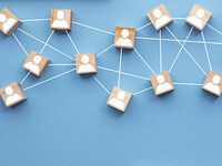 Managing Product Platforms: Delivering Variety and Realizing Synergies