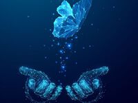 Organizational Design for Digital Transformation