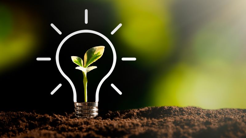 illustration of a lightbulb on soil with a seedling in the middle