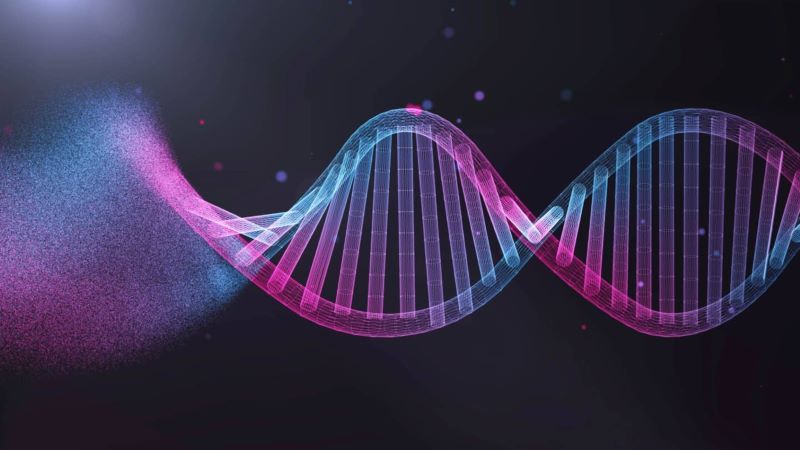 image of a DNA helix